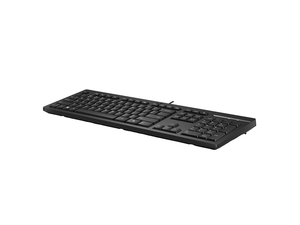 HP 125 - Tastatur - full size - USB - QWERTY - Dänisch - Schwarz (Packung mit 12)